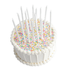 White birthday cake with colorful sprinkles and tall candles celebration theme from Parte Haus party supply store in Bethesda Maryland