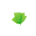 Neon green tissue paper pom pom decoration for birthday from Parte Haus party supply store in Bethesda Maryland