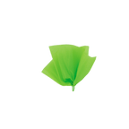 Neon green tissue paper pom pom decoration for birthday from Parte Haus party supply store in Bethesda Maryland