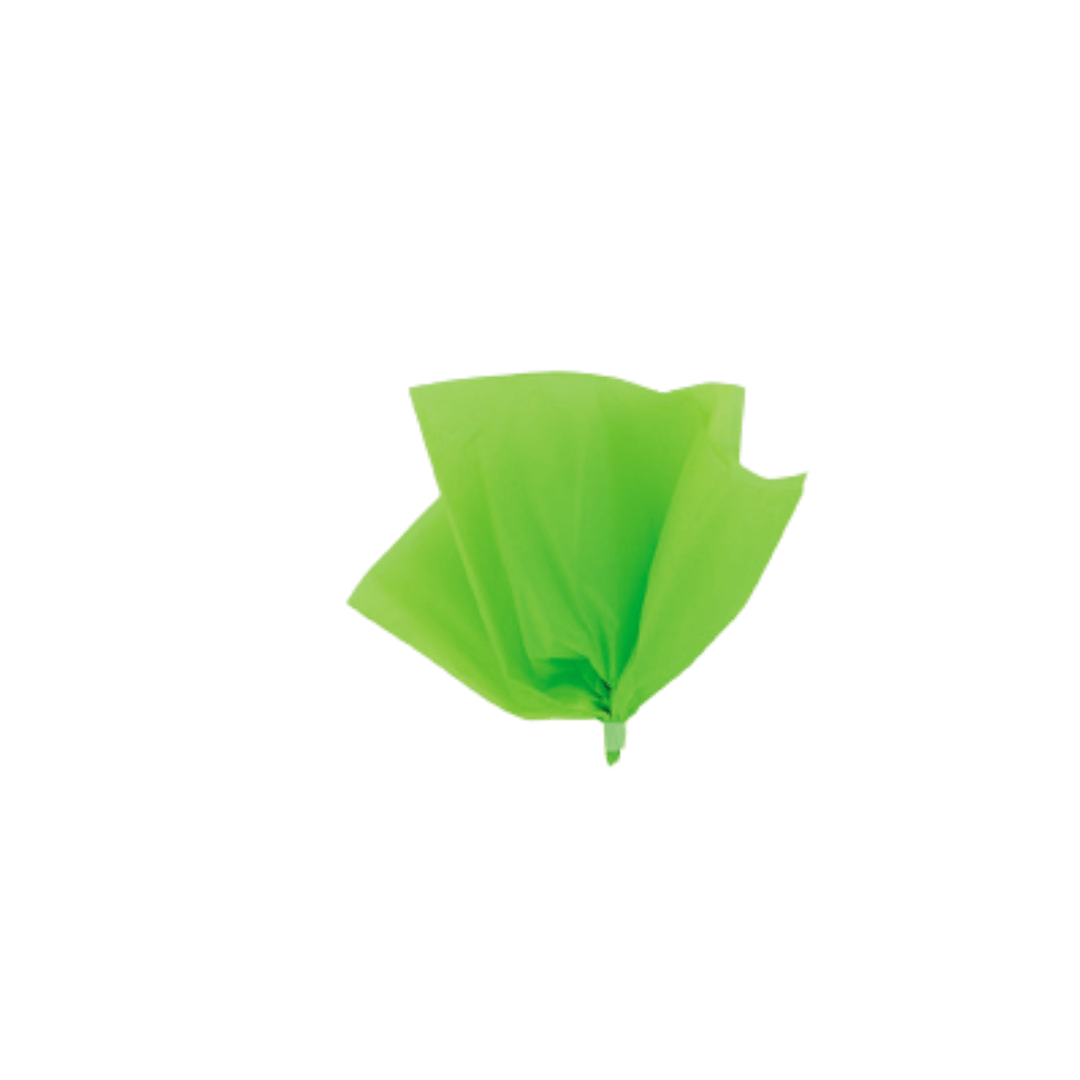 Neon green tissue paper pom pom decoration for birthday from Parte Haus party supply store in Bethesda Maryland