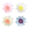 Pastel flower plates floral shape spring theme from Parte Haus party supply store in Bethesda Maryland