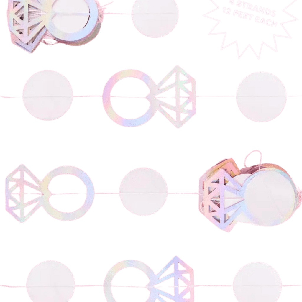 Iridescent diamond ring garland with circle shapes bridal shower decoration from Parte Haus party supply store in Bethesda MD