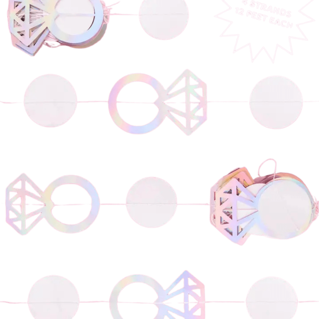 Iridescent diamond ring garland with circle shapes bridal shower decoration from Parte Haus party supply store in Bethesda MD