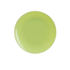 light green plate plain design for celebration from Parte Haus party supply store in Bethesda Maryland