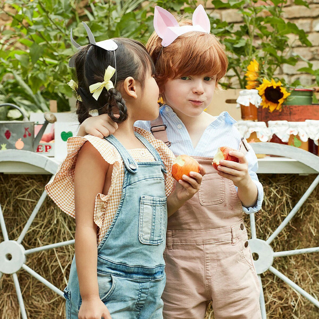 Multicolor farm animal headbands and kids wearing overalls at farm birthday theme from Parte Haus party supply store in Bethesda Maryland
