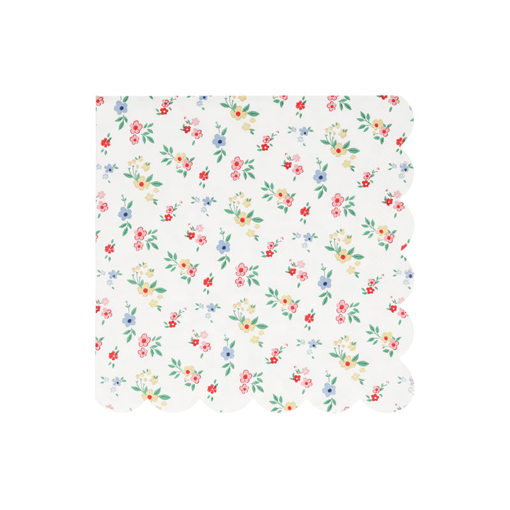 {custom.color} {custom.shape} {custom.type} with {custom.theme} {custom.characters} for {custom.occasion} {custom.holiday} – from Parte Haus party supply store in Bethesda, MD.