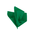 Green napkin folded in decorative fan shape for any occasion from Parte Haus party supply store in Bethesda Maryland