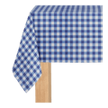 Blue checkered tablecloth with gingham pattern for picnic from Parte Haus party supply store in Bethesda Maryland