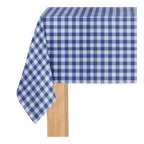 Blue checkered tablecloth with gingham pattern for picnic from Parte Haus party supply store in Bethesda Maryland