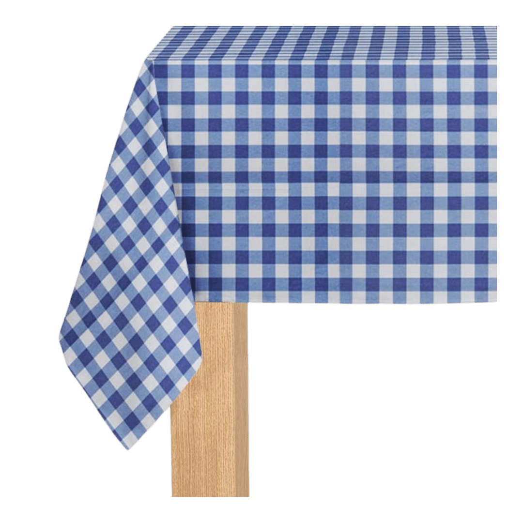 Blue checkered tablecloth with gingham pattern for picnic from Parte Haus party supply store in Bethesda Maryland