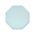 Light blue octagon plate with simple border birthday theme from Parte Haus party supply store in Bethesda Maryland