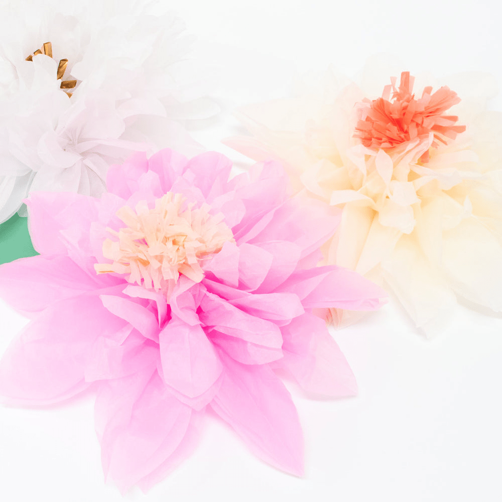 Pink white and cream paper flower decorations floral theme from Parte Haus party supply store in Bethesda Maryland