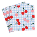 Blue gingham napkin with red and pink cherry print summer picnic theme from Parte Haus party supply store in Bethesda Maryland