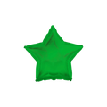 Green star foil balloon for birthday celebration from Parte Haus party supply store in Bethesda MD.