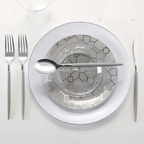 White Silver Rimmed Reusable Plates - 2 Sizes