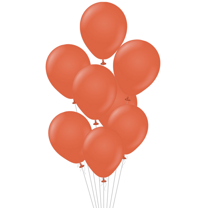 Rust Orange Latex Balloon, 12in