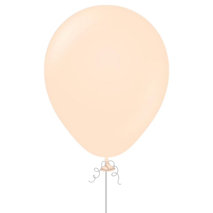 Macaron Salmon Latex Balloon, 12in
